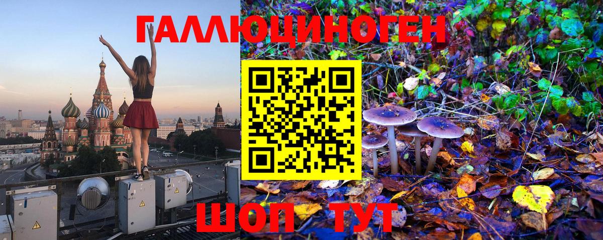 Галлюциногенные грибы мицелий Похвистнево