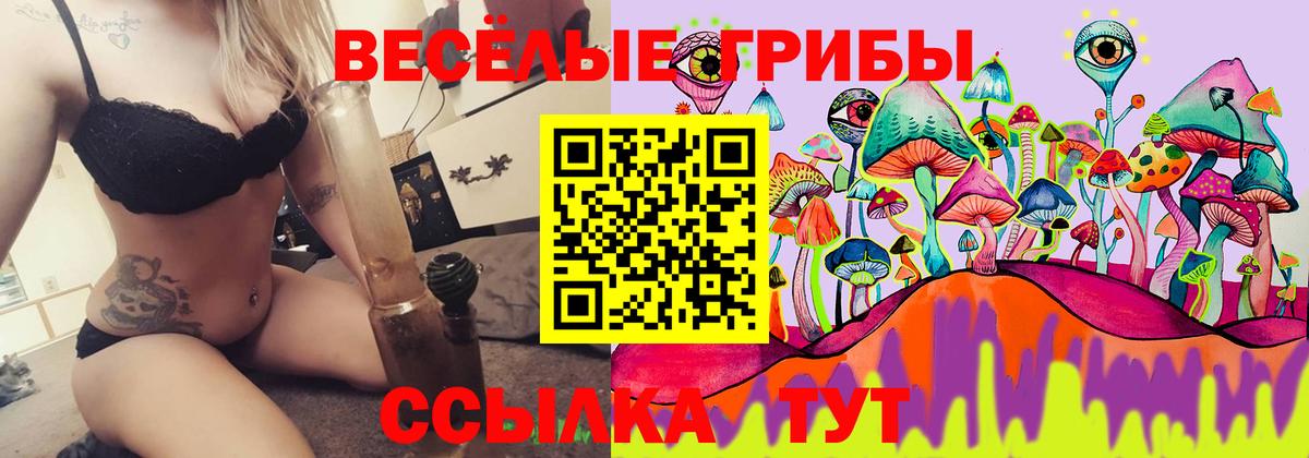 Похвистнево  Галлюциногенные грибы прущие грибы  Вход с VPN  Псилоцибиновые грибы Psilocybine cubensis 